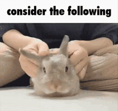 Rabbit Sitting On Floor With Toilet Paper GIF
