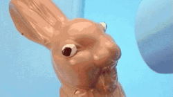 Rabbit Toy Face Melt GIF