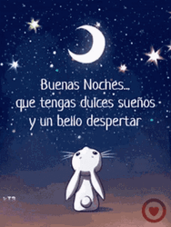 Rabbit Watching The Moon Linda Noche Buenas Noches GIF