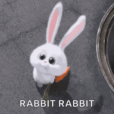 Rabbit With Carrot In Mouth GIF