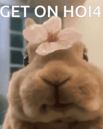 Rabbit With Flower Get On Ho14 GIF