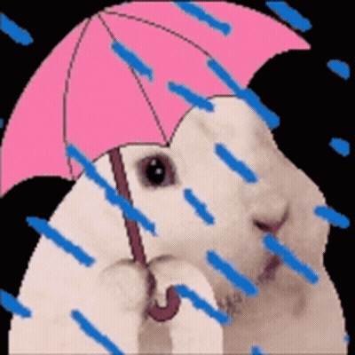 Rabbit With Pink Umbrella In Rain GIF