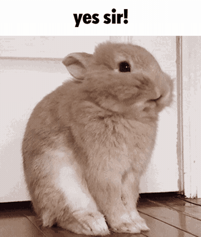 Rabbit With Yes Sir Text GIF