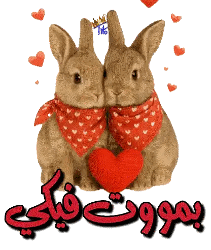 Rabbits Holding Heart With Arabic Writing Sticker