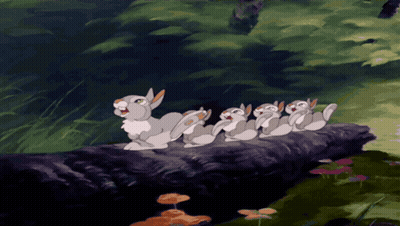 Rabbits Sitting On Rock In Woods GIF