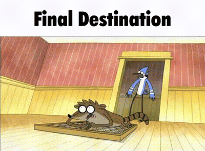 Raccoon And Bird Final Destination GIF