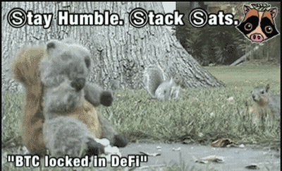 Raccoon And Squirrel Stay Humble Stack Sats GIF