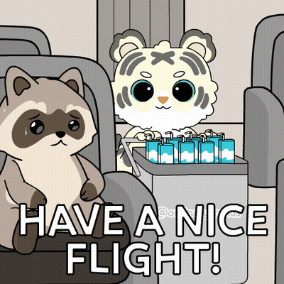 Raccoon And Tiger Have A Nice Flight GIF