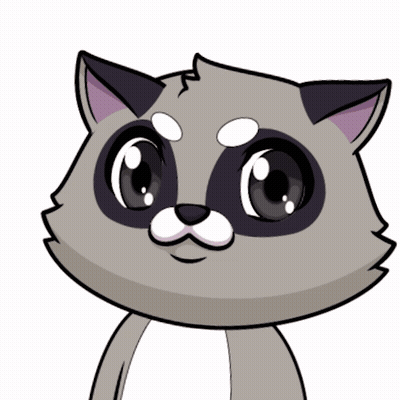 Raccoon Drawing With Big Eyes And White Nose GIF