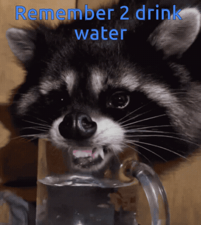Raccoon Drinking Water Remember To Drink GIF