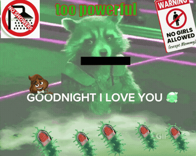 Raccoon Goodnight I Love You GIF