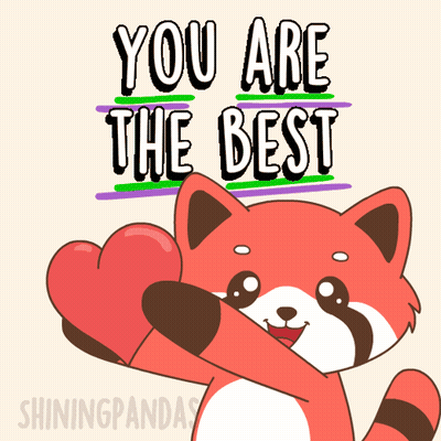 Raccoon Holding Heart Saying You Are The Best GIF