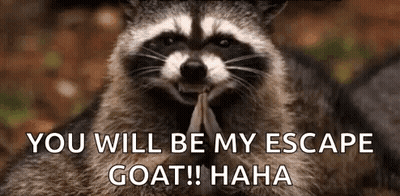 Raccoon Holding Paper Saying You Will Be My Escape Goat! GIF