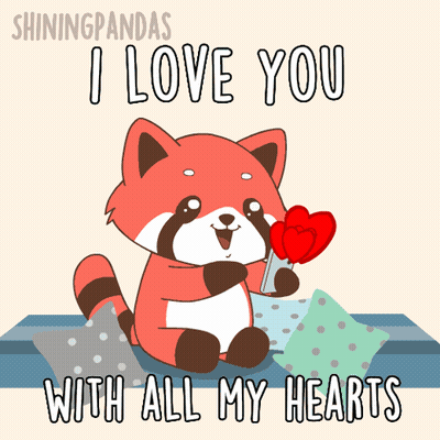 Raccoon Holding Red Hearts I Love You With All My Hearts GIF