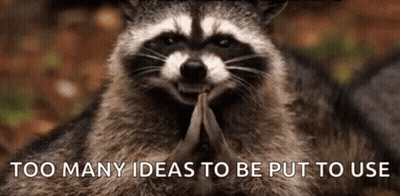 Raccoon Holding Wood Too Many Ideas To Be Put To Use GIF