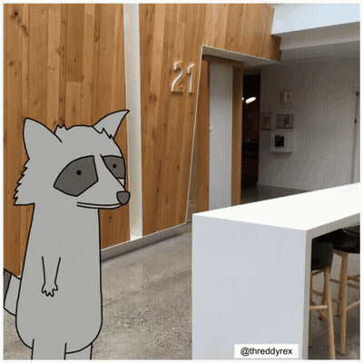Raccoon In Front Of Wooden Wall With Number 21 GIF