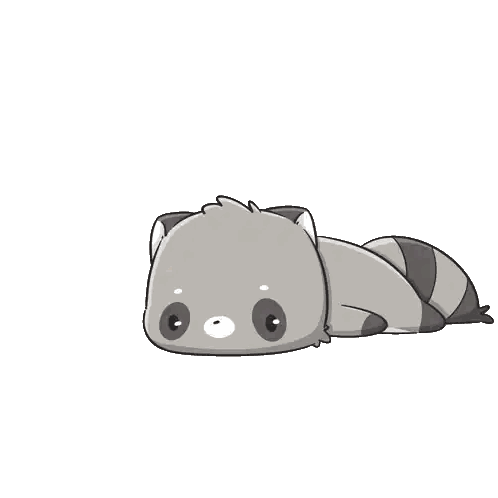Raccoon Laying Down Sticker