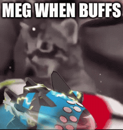 Raccoon Looking At Toy Saying Meg When Buffs GIF