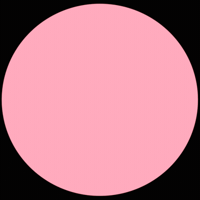 Raccoon Peeking From Behind Pink Circle GIF