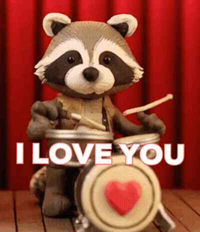 Raccoon Playing Drums I Love You GIF