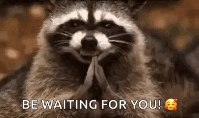 Raccoon Praying Saying Be Waiting For You GIF