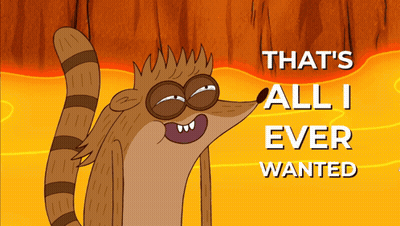 Raccoon Saying That All I Ever Wanted GIF