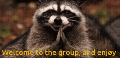 Raccoon Saying Welcome To The Group And Enjoy GIF