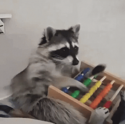 Raccoon Sitting In Drawer Playing GIF