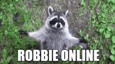 Raccoon Sitting In Grass Arms Outstretched Robbie Online GIF