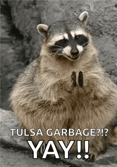 Raccoon Sitting On Rock Saying Tulsa Garbage Yay GIF