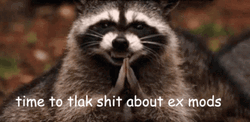 Raccoon Smiling Welcome To The Team Meme GIF