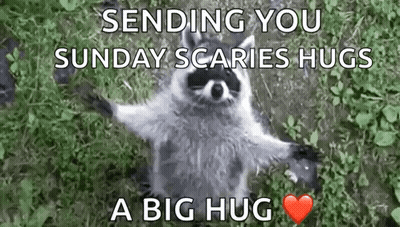 Raccoon Standing In Grass With Heart GIF