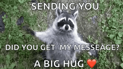 Raccoon Standing In Grass With Heart GIF