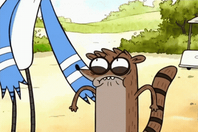 Raccoon Standing Next To Two Birds GIF