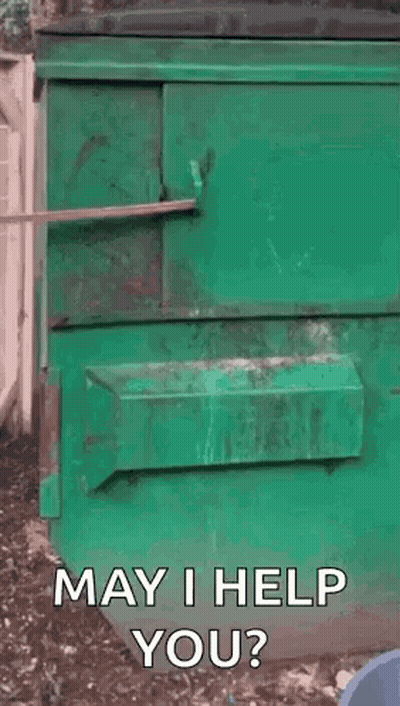 Raccoon Sticking Head Out Of Trash Can GIF