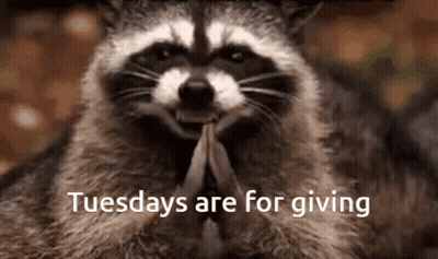 Raccoon Tuesdays Are For Giving GIF