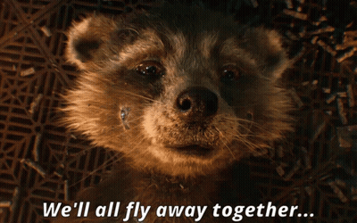Raccoon We'll All Fly Away Together GIF