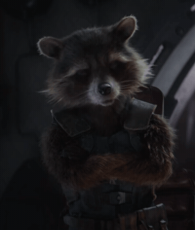 Raccoon Wearing Rocket Vest GIF