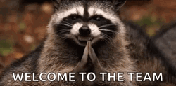 Raccoon Welcome To The Dark Side GIF
