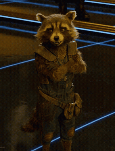 Raccoon With Crossed Arms At Marvel Sign GIF