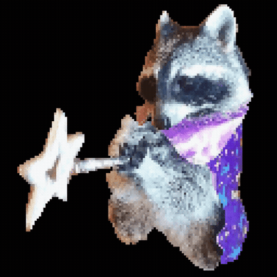 Raccoon With Purple Scarf Holding Star GIF