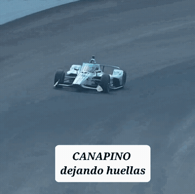Race Car Canapino Dejando Huellas GIF