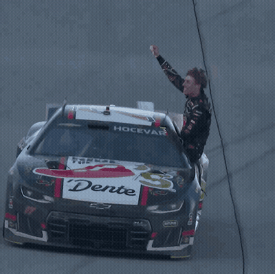 Race Car Number 17 GIF