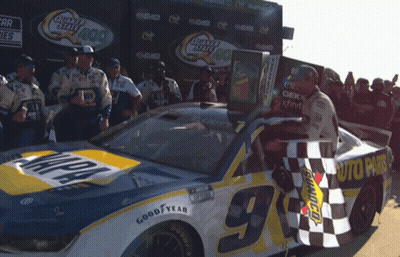Race Car Number 9 GIF
