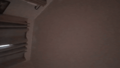 Race Day Video Game Screen GIF