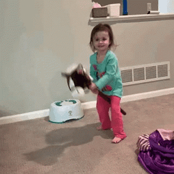Race Horsy Nay Day GIF
