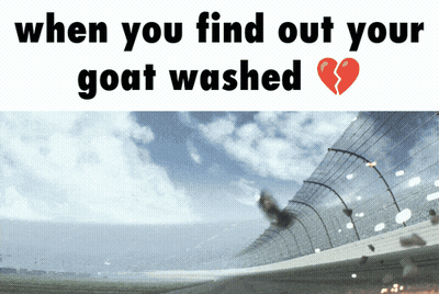 Race Track Saying When You Find Out Your Goat Washed GIF