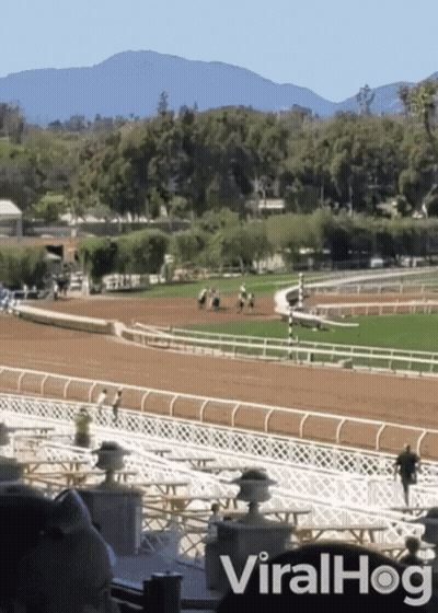 Race Track With ViralHog Text GIF