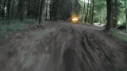 Racing Fast In Forest GIF