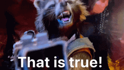 Racket Racoon Truth GIF